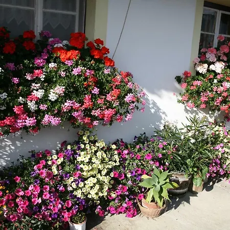 Gasthof-pension Waldruhe *