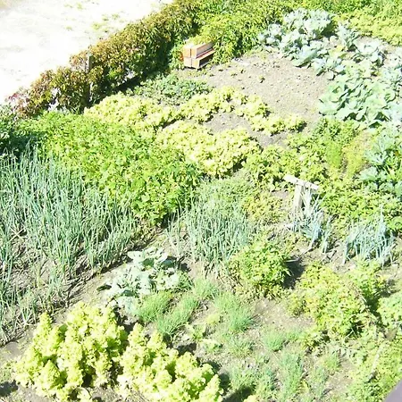 Gasthof-pension Waldruhe 여관