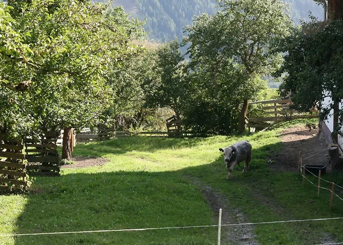 Gasthof-pension Waldruhe Virgen