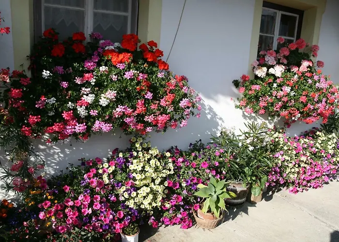 Gasthof-pension Waldruhe *