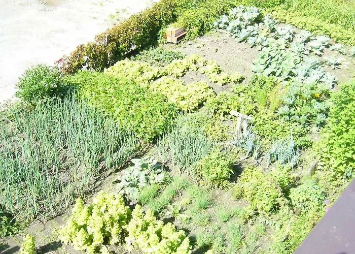 Gasthof-pension Waldruhe Herberg