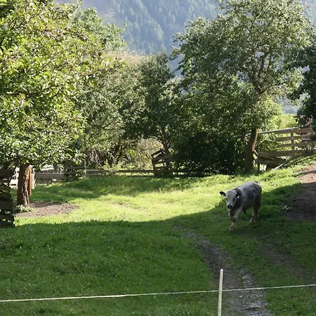 Gasthof-pension Waldruhe Virgen